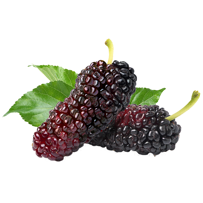 Black mulberry