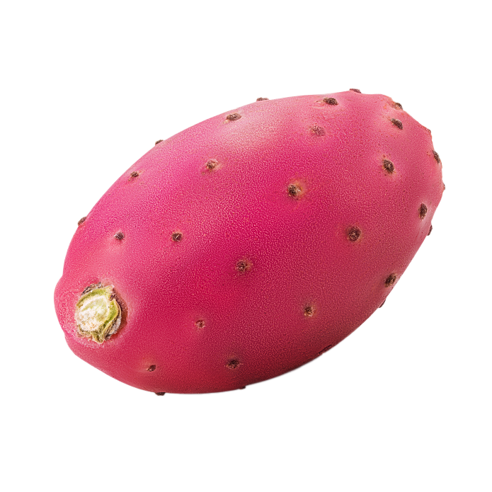 Prickly pear cactus