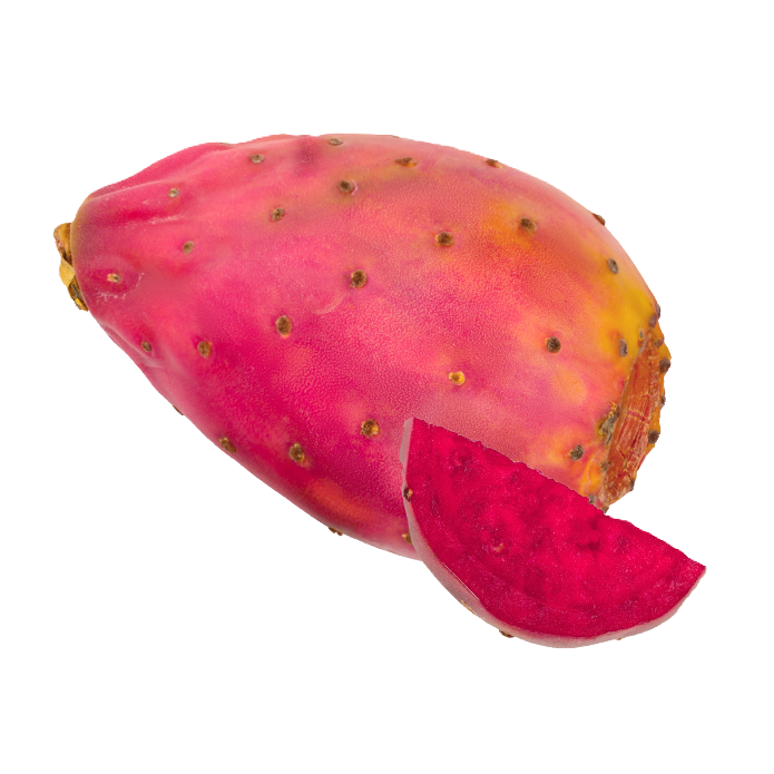 Opuntia Oléoactif®