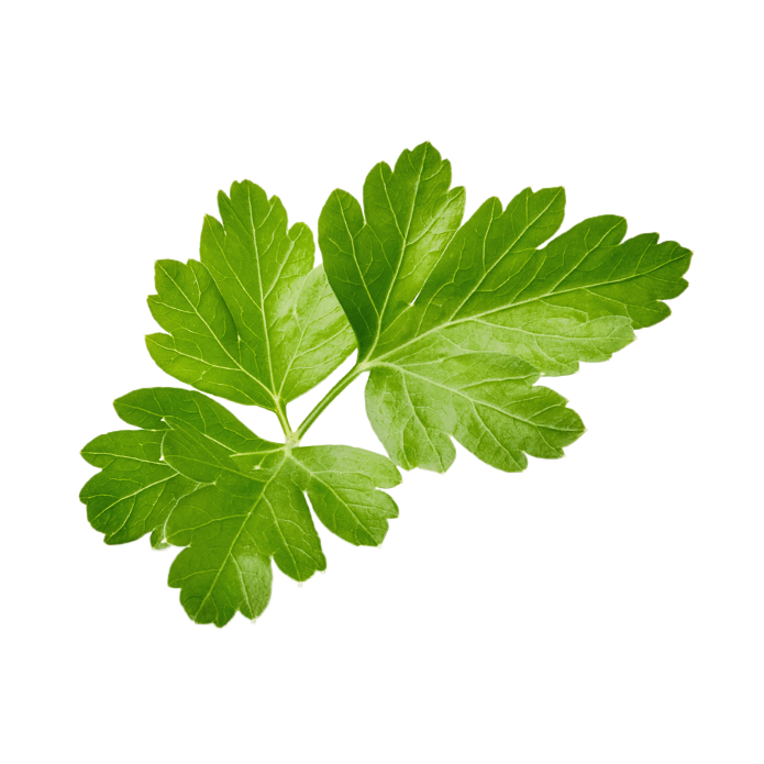 Parsley
