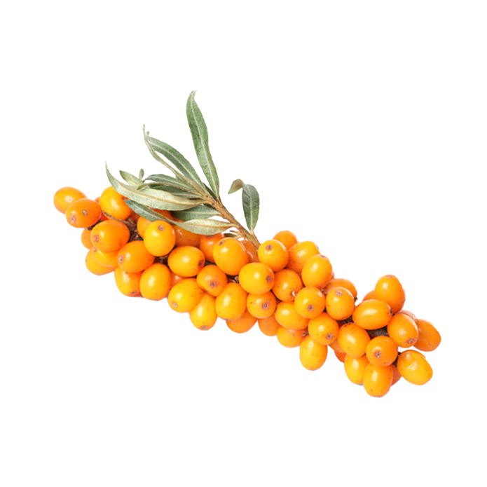 Sea-buckthorn extract