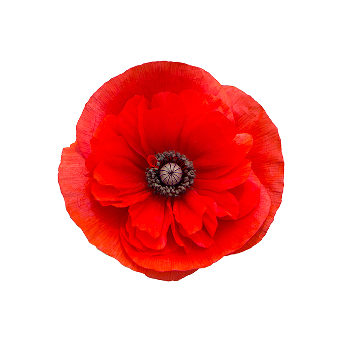 RonaCare® Poppy SE