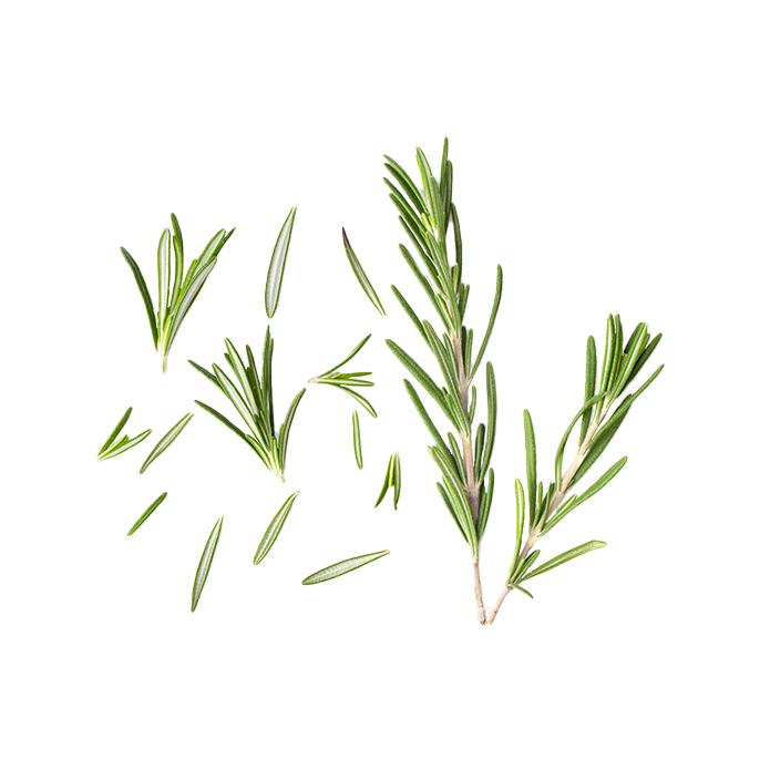 Rosemary