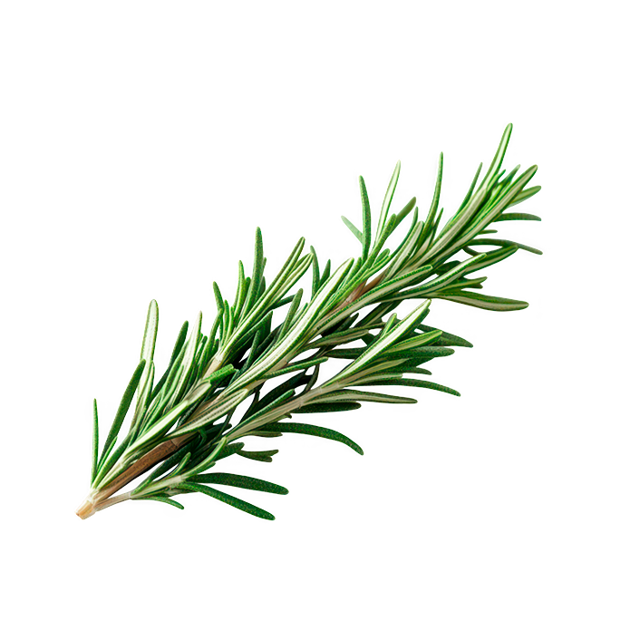Rosemary hydrolate