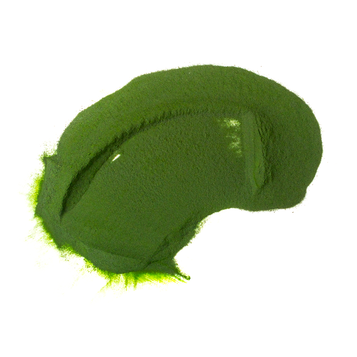 Spirulina