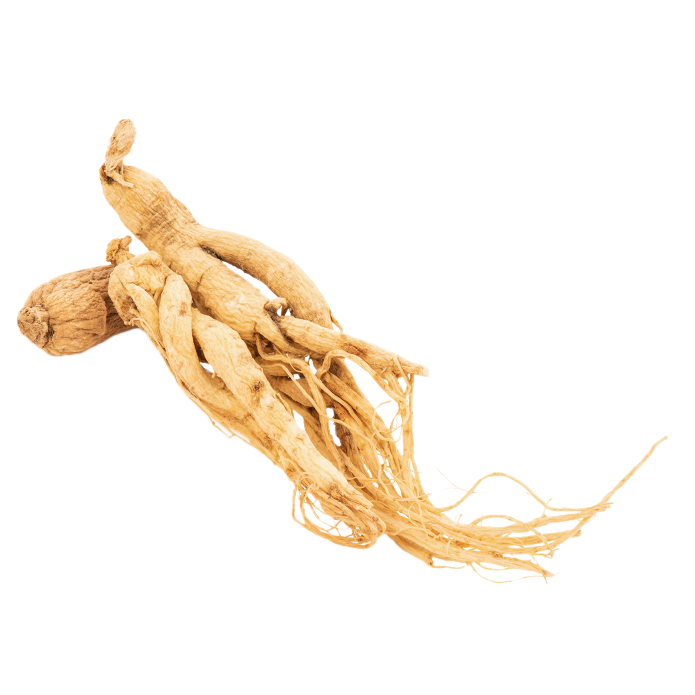 Cosmélène® Ginseng