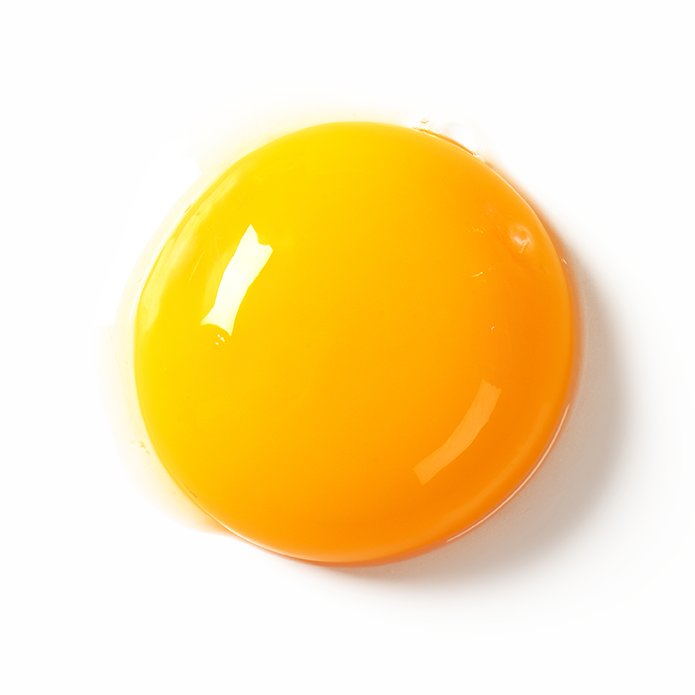 Vaječný žĺtok