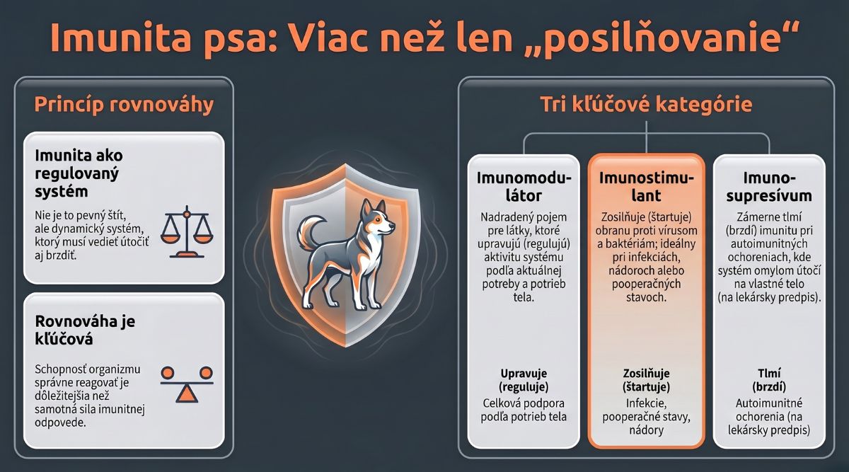 Podpora imunity psa: čo skutočne funguje a prečo na tom záleží