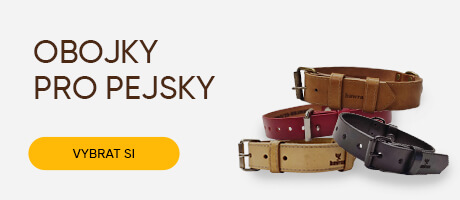 Obojky pro pejsky