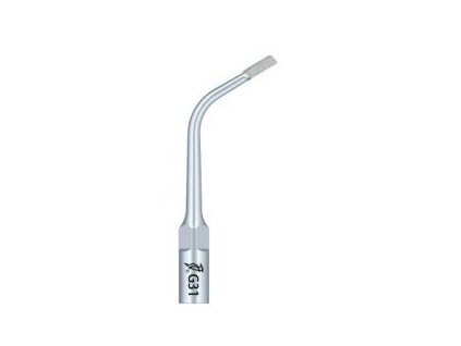 G31