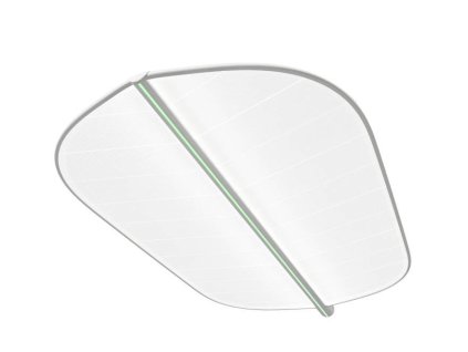 LEAF1