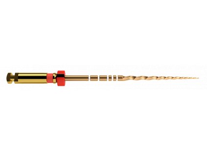 PROTAPER GOLD F2 31mm