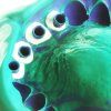 Hydrorise Regular Body 2