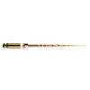 PROTAPER GOLD S2 31mm