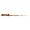 PROTAPER GOLD F2 31mm