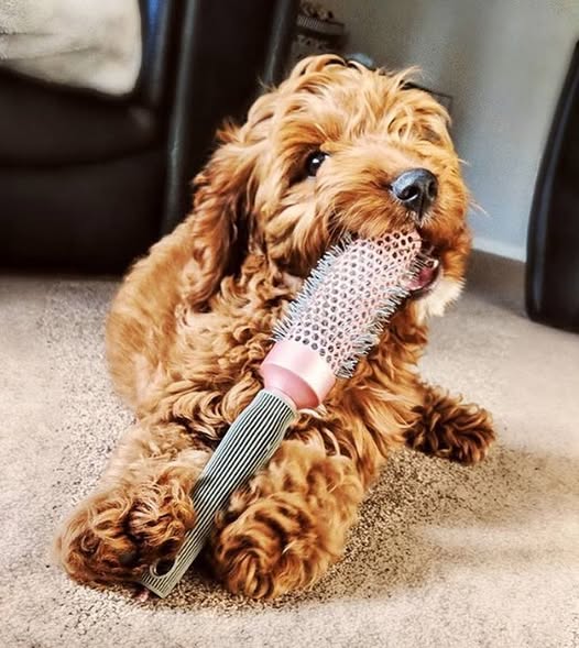 Milyen jó ízlése van!