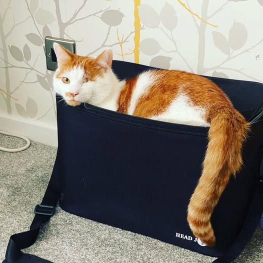 Fodrász táska a profi megjelenésért