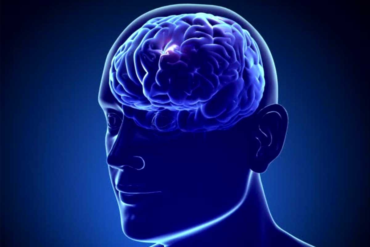 Svetový deň mozgu: Ako podporiť pamäť, koncentráciu a zdravie mozgu