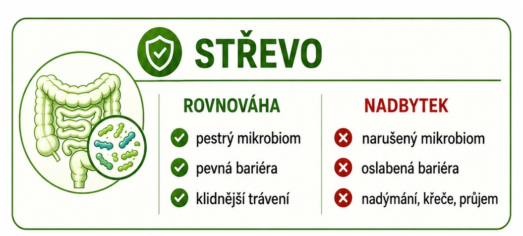 histamin-health-detox-3