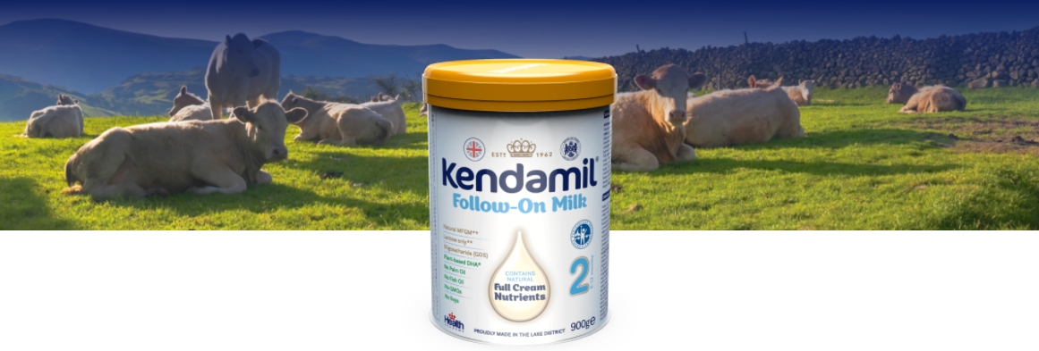 Kendamil 2