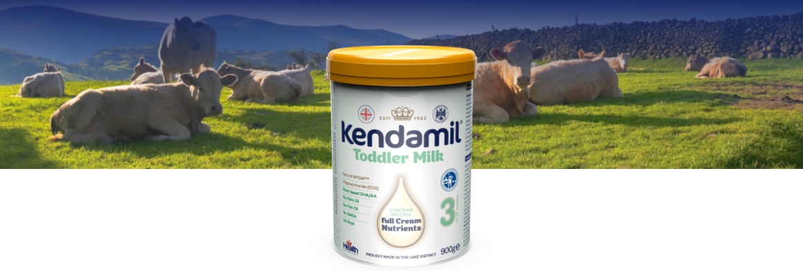 Kendamil 3