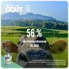 2+1 ZDARMA: Good Gout BIO Vanilkový dezert s hruškou (90 g)