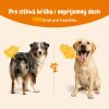 Zesty Paws Probiotic Chews (60 ks) – funkční doplněk stravy pro psy na podporu trávení