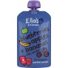 EK338 Bluberries, Apples + Bananas F
