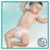 Pampers Harmonie Value Pack Dětské plenky vel. 3 (31 ks)