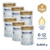 6x Kendamil Premium 2 HMO+ (800 g)