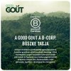 2+1 INGYEN: Good Gout BIO BLW Vörös lencse és sütőtök rudacskák (120 g)
