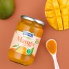 SALVEST Family BIO Mango 100% (450 g)