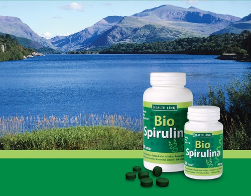 Preklinická a klinická studie o Spirulina platensis