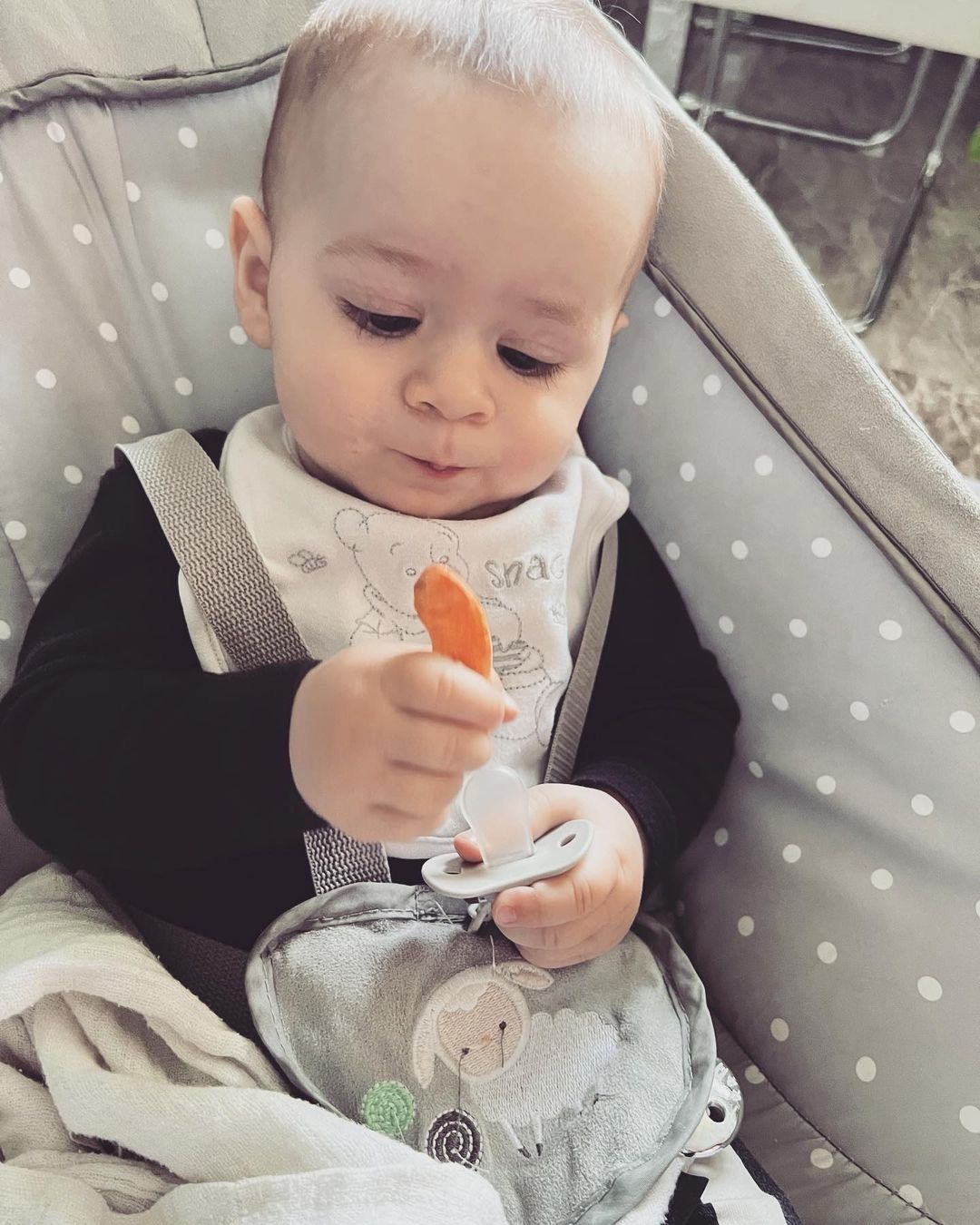 Vyber si lyofilizovanú marhuľu