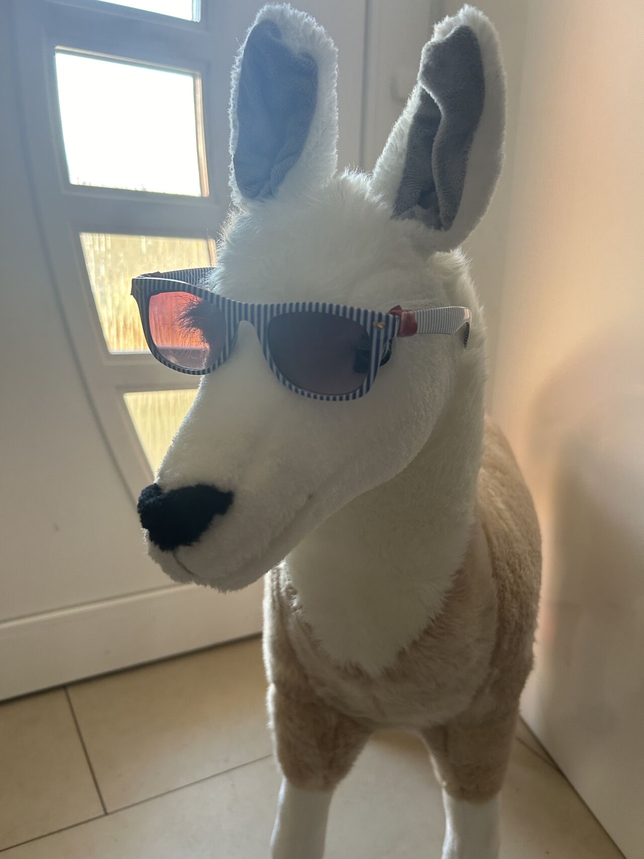 llama