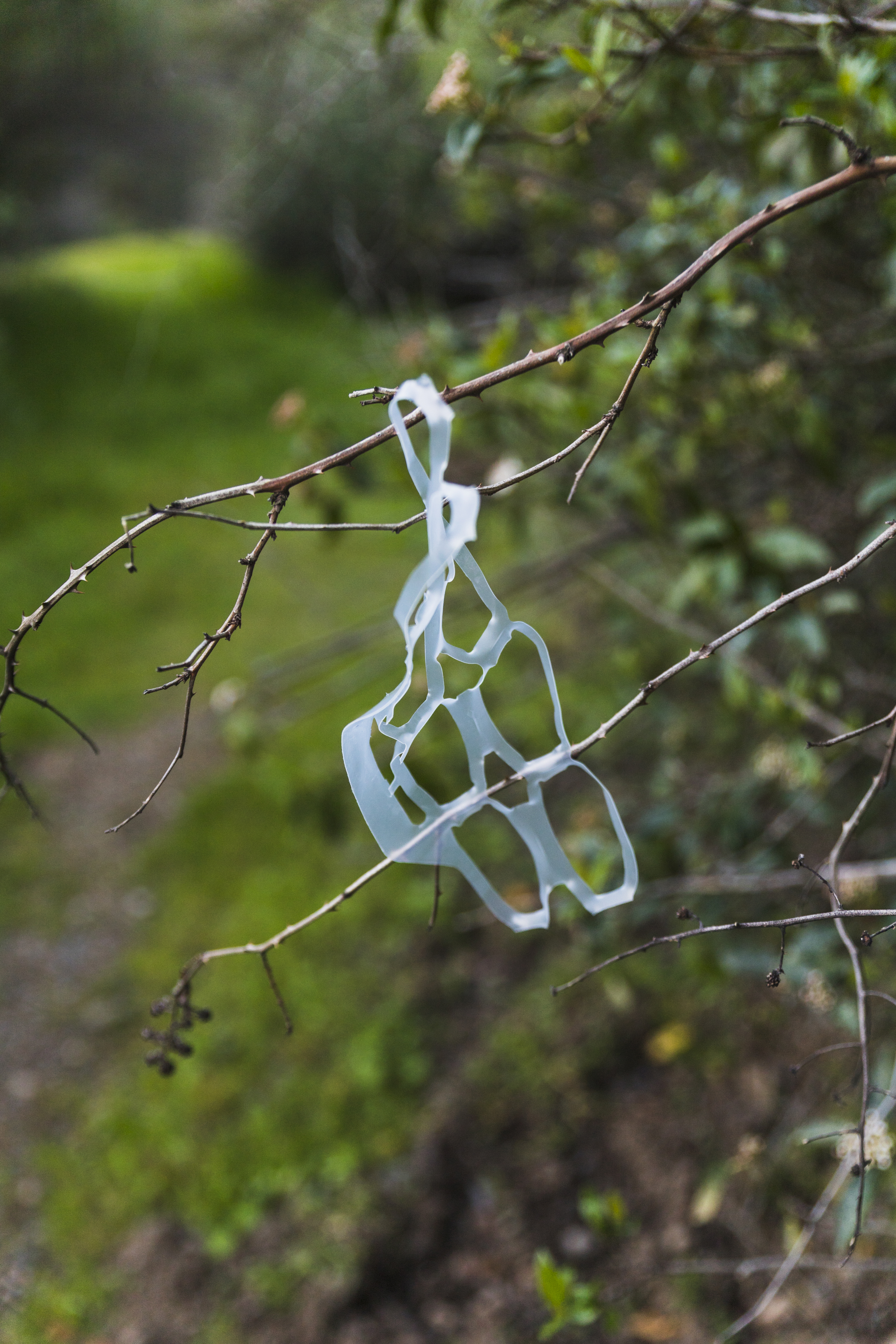 plastic-garbage-tree-stick-woods