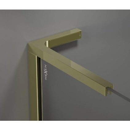 MexenKiotoLprofil goldshiny 1