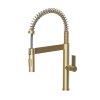 Gamma SPIRAL NEW, kuchyňská baterie s 2-funčním výtokem, zlatá matná, GMA-BSLN-BGD