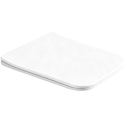 ErgaMeryTornado2 WCsedadloBiela3