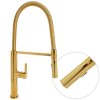 Gamma Mega, magas konyhai csaptelep rugalmas karral és spray-vel, arany fényes, GMA-BFL-GD