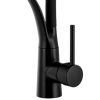 Gamma Nexo, álló magas konyhai csaptelep rugalmas karral és spray-vel, fekete matt, GMA-BNO-BK