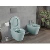 Mexen Rico, falra akasztható WC Rimless WC-ülőkével slim, duroplast, zöld matt, 30724048