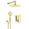 Deante Alpinia, rejtett zuhany szett fej- és kézizuhannyal, karos csaptelep dobozos rögzítő rendszerrel BOX, arany fényes, BXYZZGAM