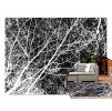 421008 tutumi plysovy koberec nature 4d vzor biele stromy 160x230 cm shg 09002