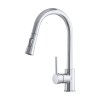Gamma Taru N, magas mosogató csaptelep kihúzható 2 funkciós kifolyóval, króm, GMA-BTN-CH