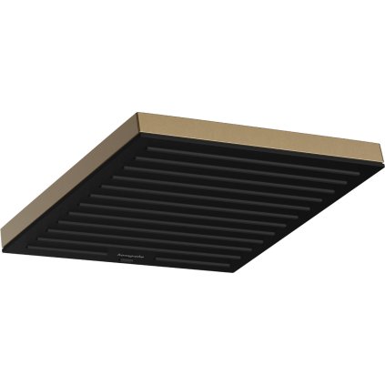450455 hansgrohe pulsify e hlavova sprcha 260 1jet ecosmart kartacovany bronz han 24331140