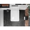Hansgrohe AddStoris, suport pentru hârtie igienică cu capac, negru mat, HAN-41753670