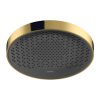 Hansgrohe Rainfinity, cabină de duș 360 1jet, aspect auriu lustruit, HAN-26231990