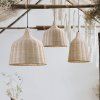 8bbf5872023969df1bebb5a2d6e87043
