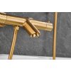 Gamma Roy, baterie termostatică pentru cadă cu set de duș manual, auriu mat, GMA-BRYPWT-BGD